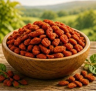Goji (licium)